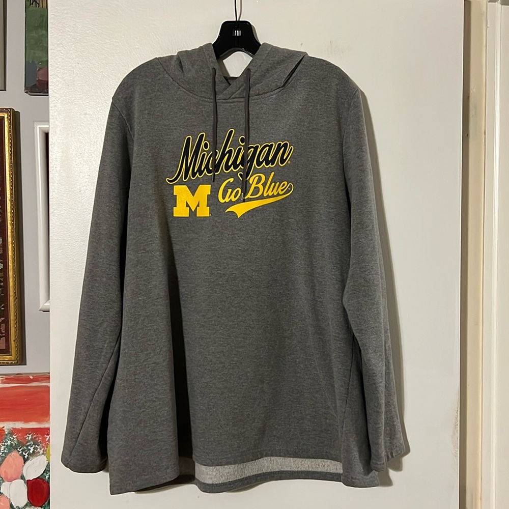Colosseum gray university of Michigan vintage hoody